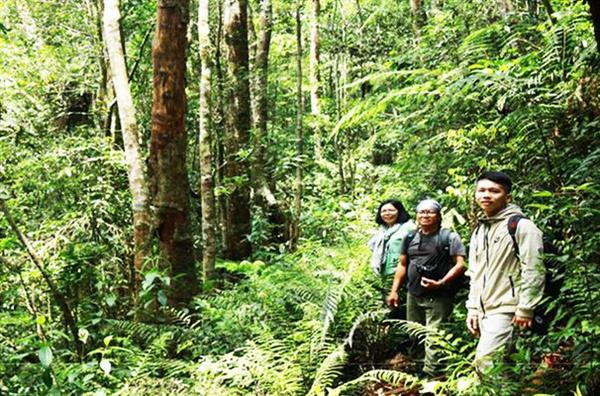 Khảo sát tại rừng Hòn Bà Khảo sát tại rừng Hòn Bà